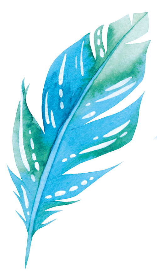 Feather Feather