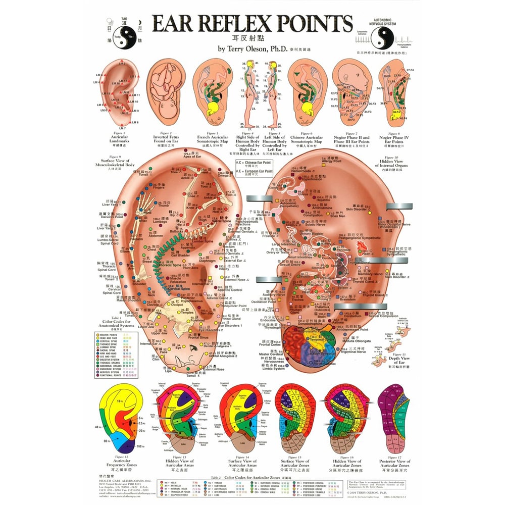 Auriculotherapy