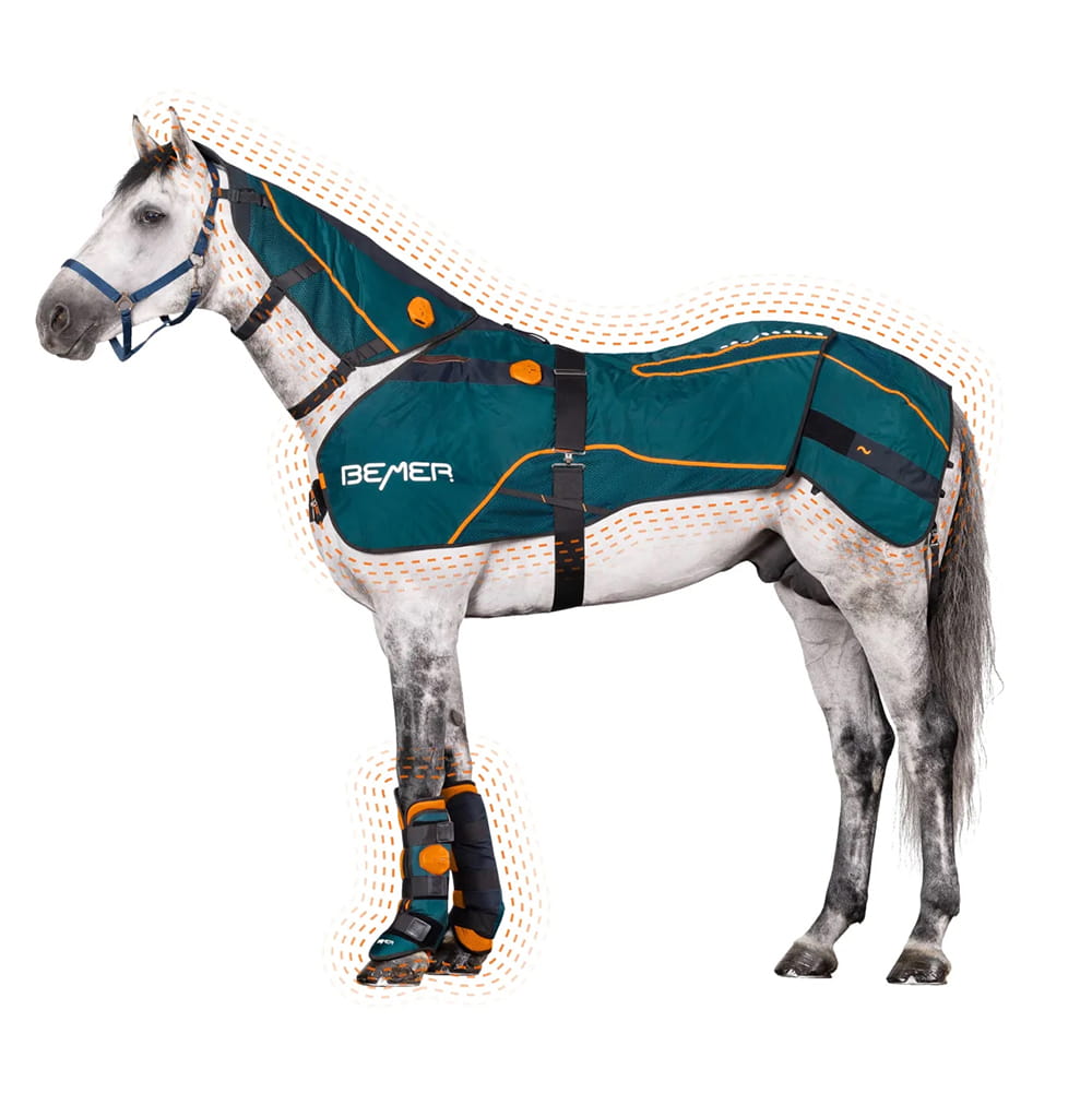 A grey horse wearing the BEMER Animal Line for Horses