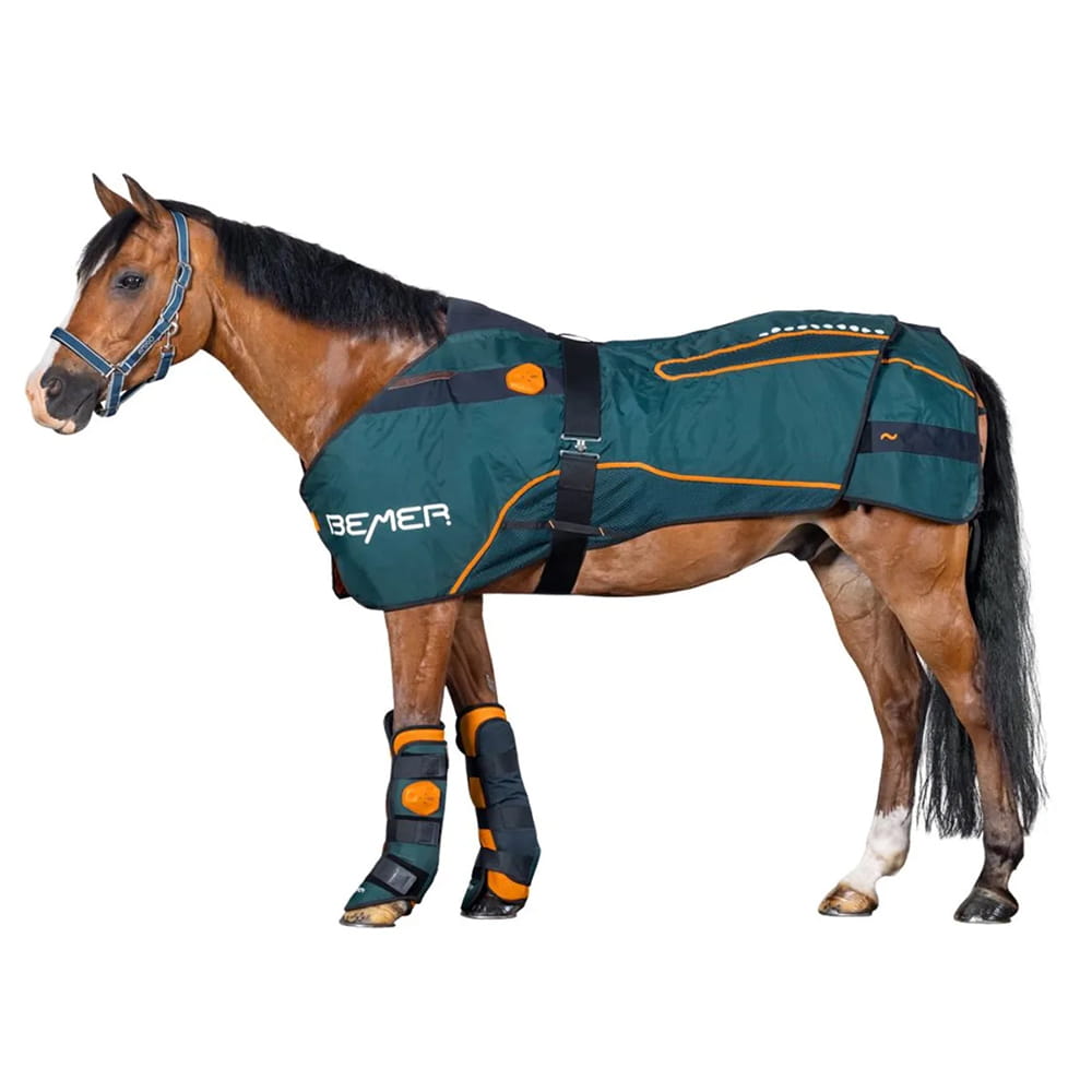 The BEMER Horse Set being worn by a horse