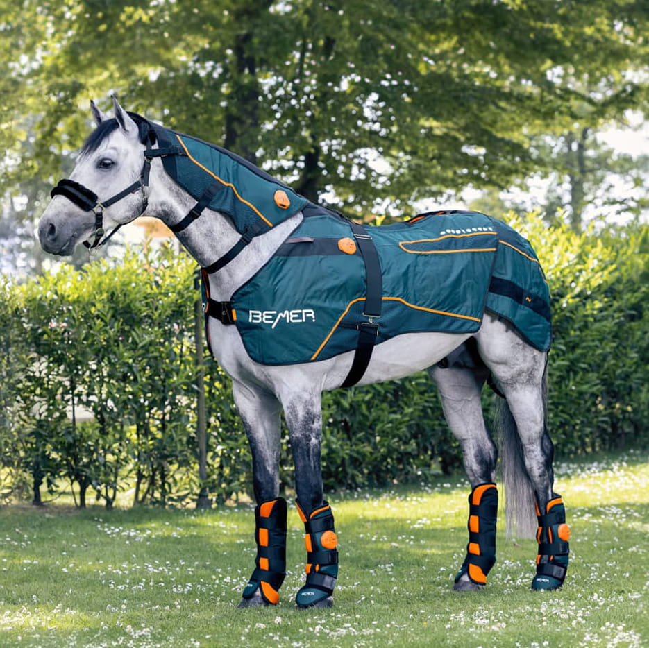 BEMER Horse Set