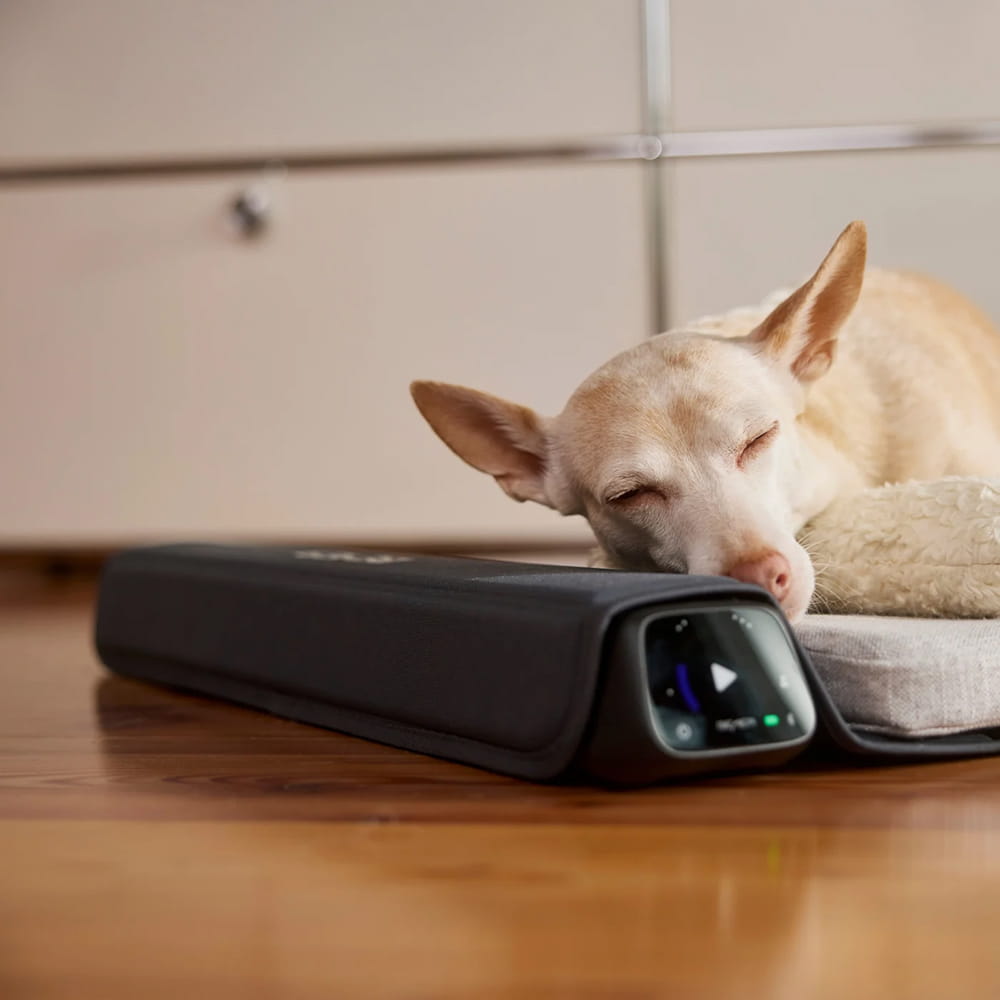BEMER Dog Line